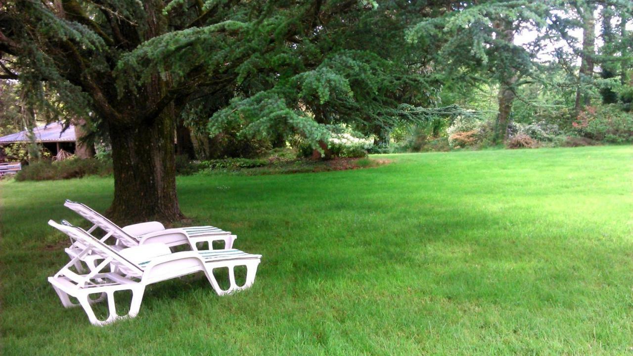 Bed and Breakfast Manoir Tregont Mab Quimper Exterior foto